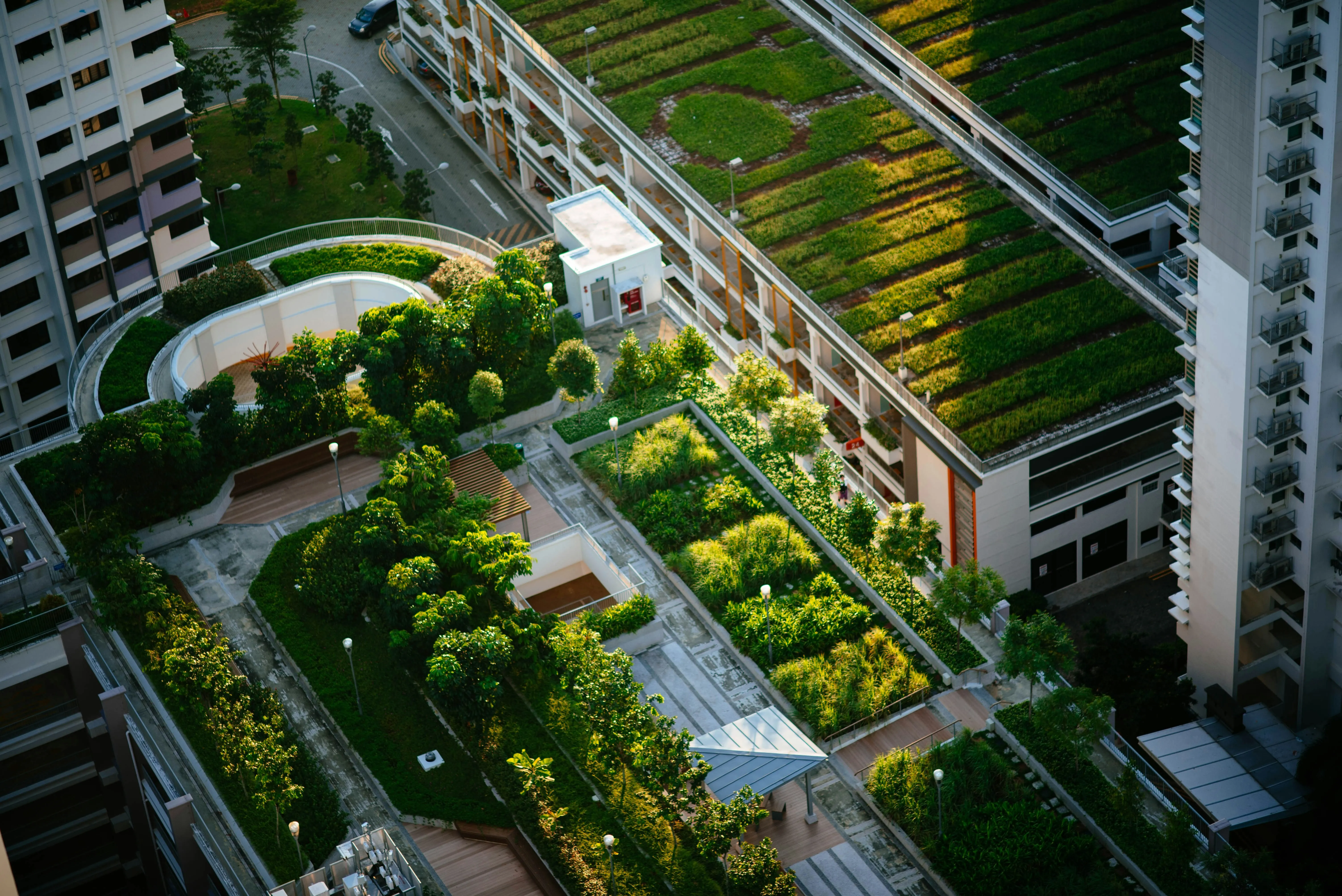 Lush green rooftop garden representing ESG strategy
